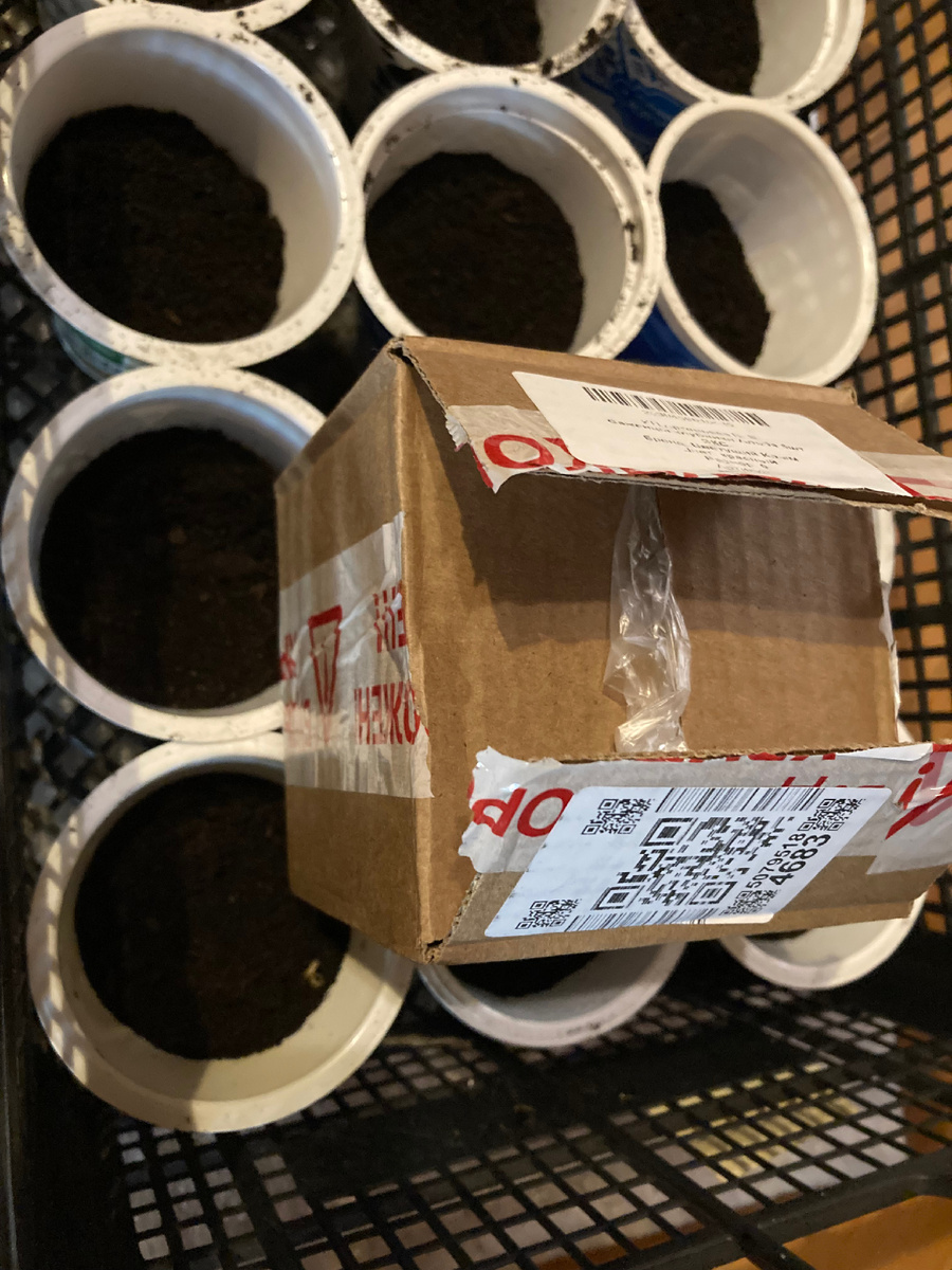 Сравните с размером стаканчика из-под сметаны.