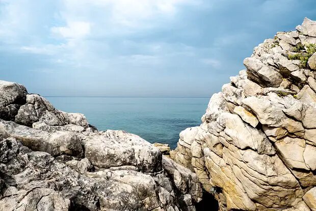    Источник: lenta.ru/ Инна