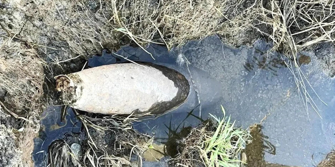 В ТСН «Счастливый» в Ленобласти нашли снаряд времен ВОВ