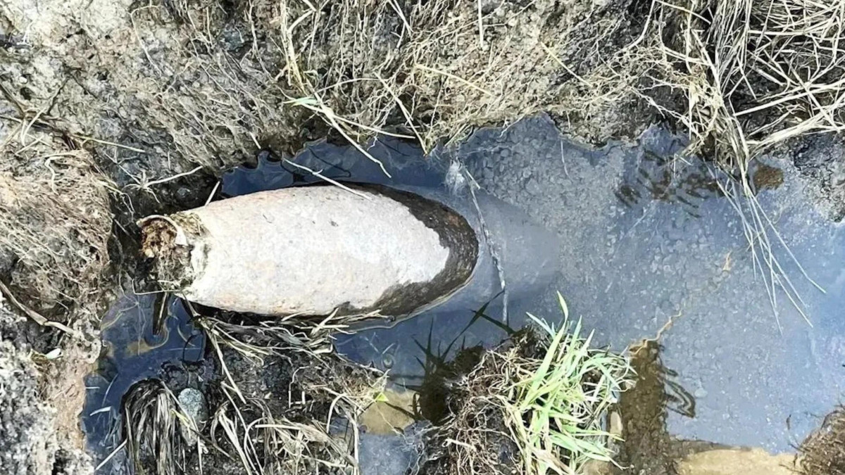 Фото: пресс-служба ГУ Росгвардии по СПб и ЛО