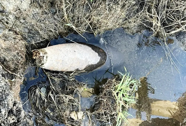 фото: пресс-служба ГУ Росгвардии по Петербургу и Ленинградской области