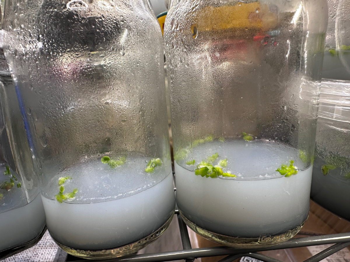 Фото 7 марта