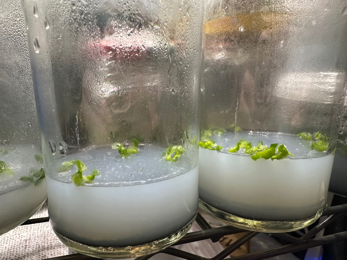 Фото сегодня 16 марта