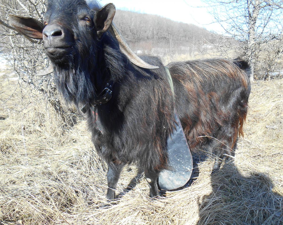 Главный злодей Темуджин