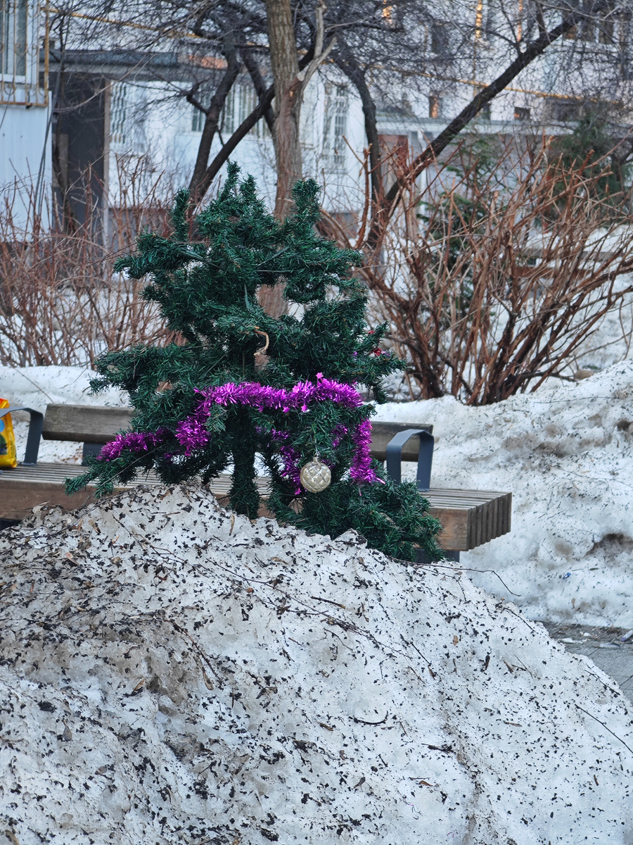 Фото автора канала 