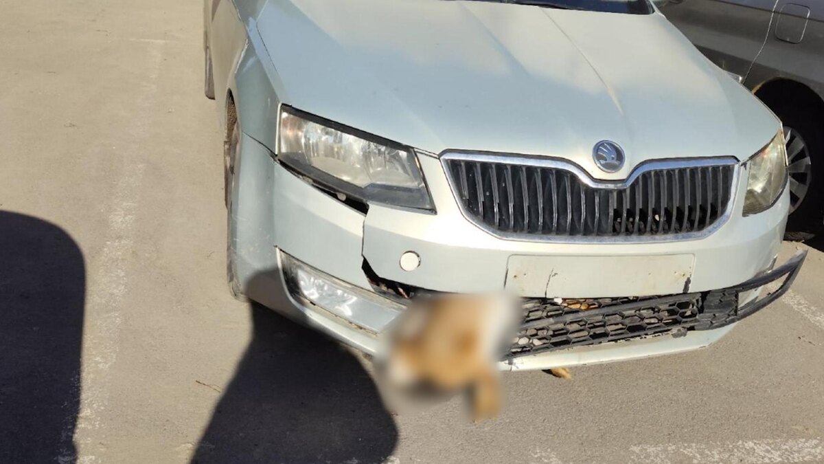    Фото: m.vk.com/gkvuntolovo