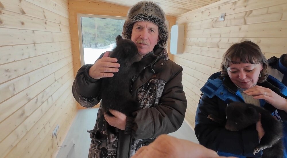    Андрей Сакулин и сотрудница ветслужбы проверили состояние малышей, прежде, чем их забрал Кирилл Потапов. Фото: Департамент по охране, контролю и регулированию использования животного мира Свердловской области