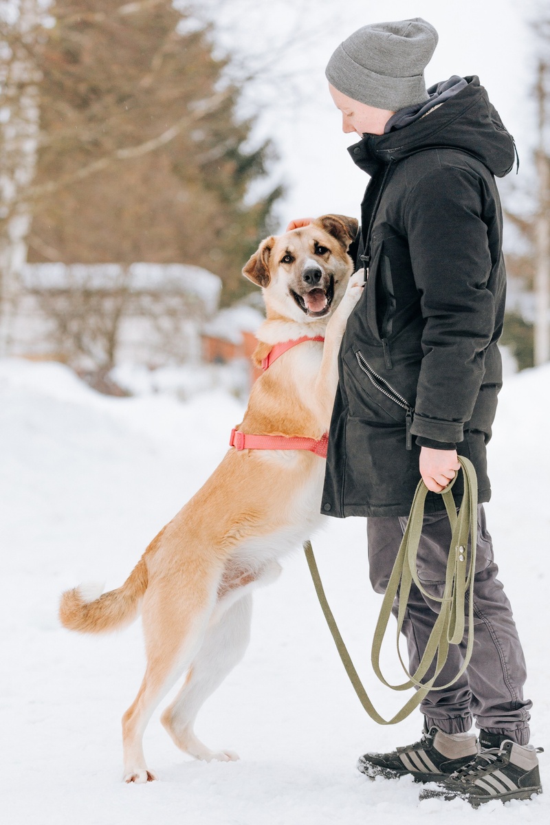 Привееееет!! Помните меня?