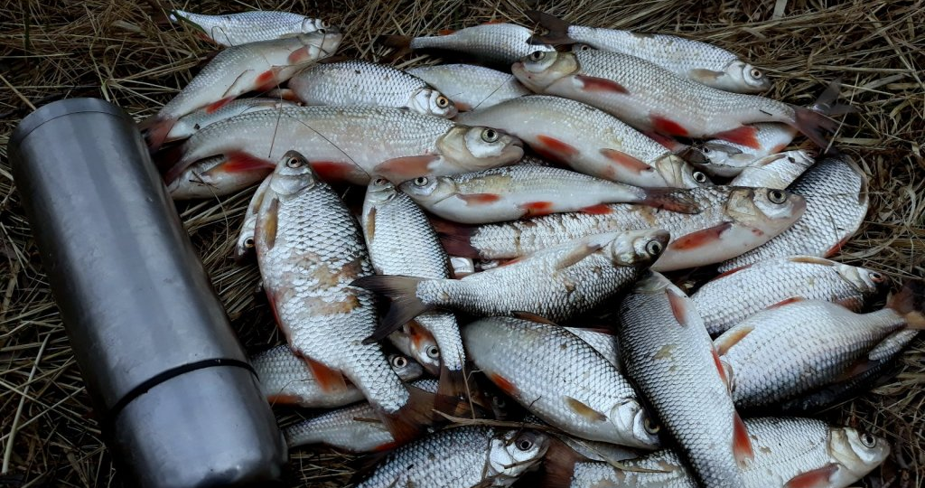 Лёд тронулся. Где и как рыбачить весной? Большой гайд по весенней рыбалке 2026