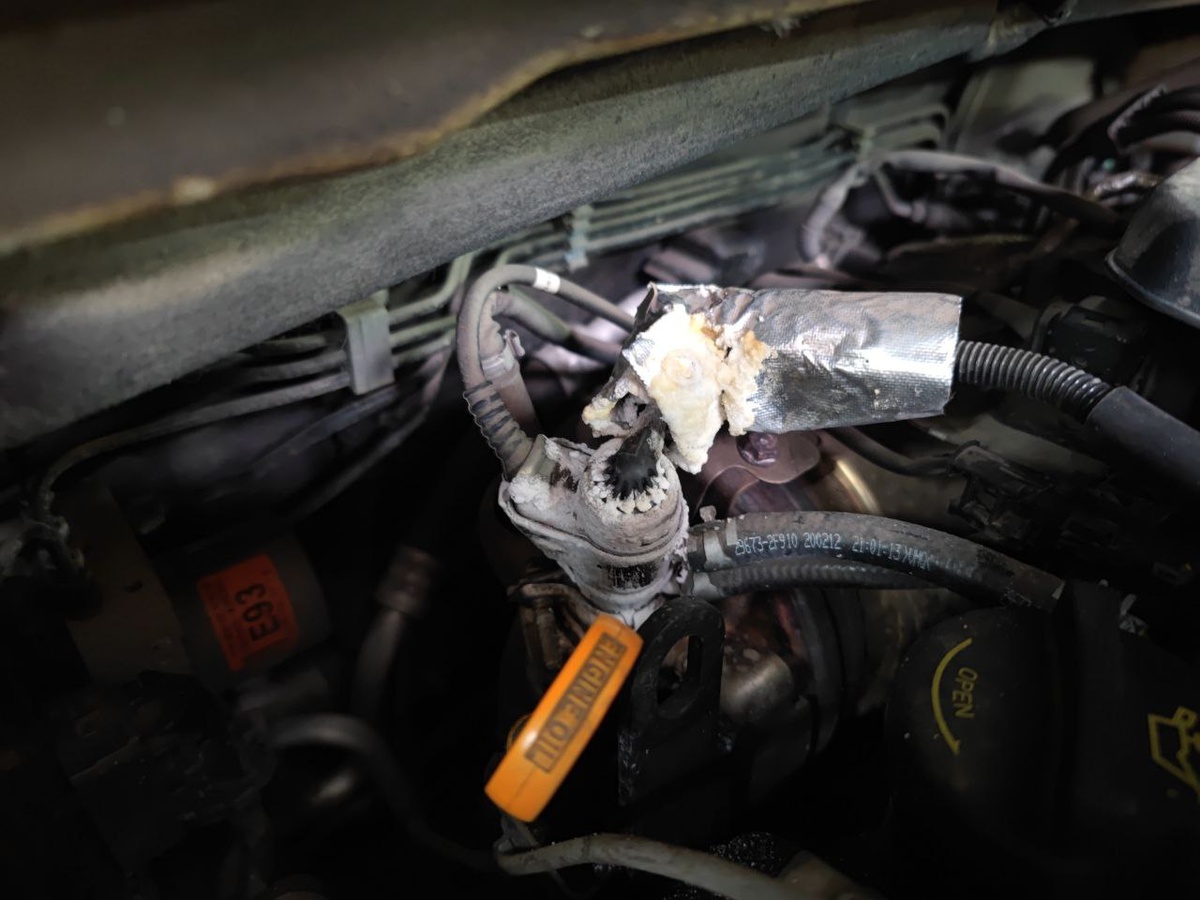 Отключение AdBlue (SCR) на KIA Carnival 2020г 2.2d 200hp + Увеличение мощности (Stage1)