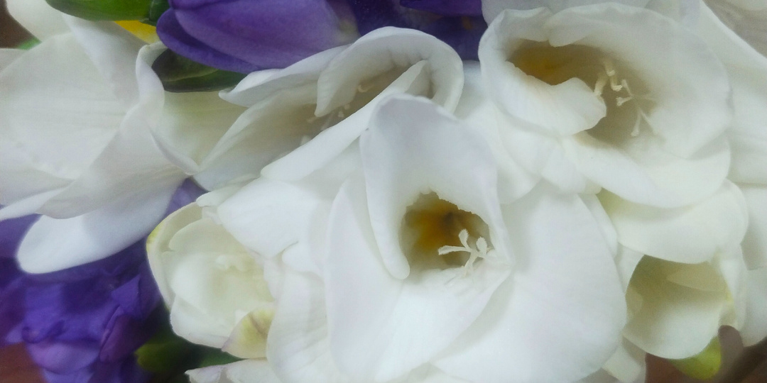 Хочу жить радостно каждый день