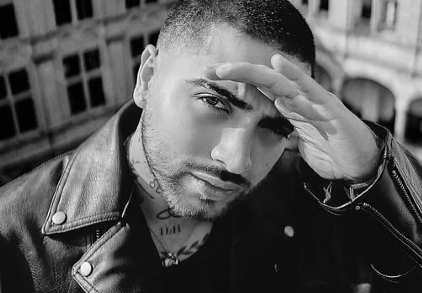    Zalek / Источник: Социальные сети