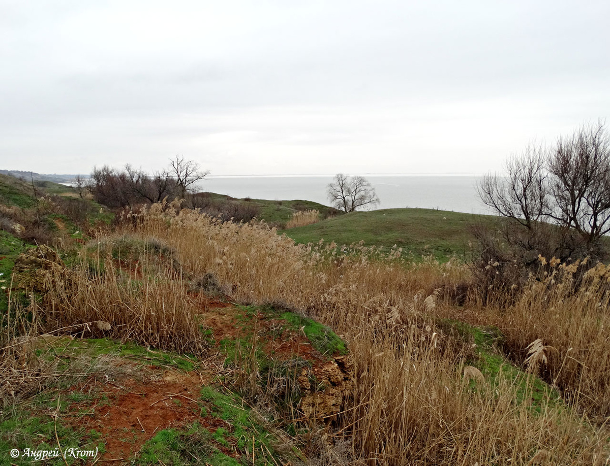 Пригорок справа - на нем и была сожжена Масленица