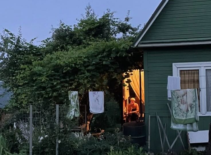 Бесплатная картошка с дачи: почему 6 соток обходятся дороже фермерского рынка. Я взял и посчитал.