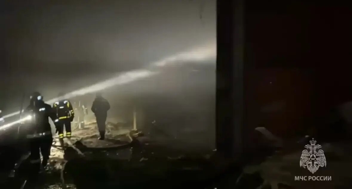    Фото: скриншот видео пресс-службы ГУ МЧС России по Ленобласти