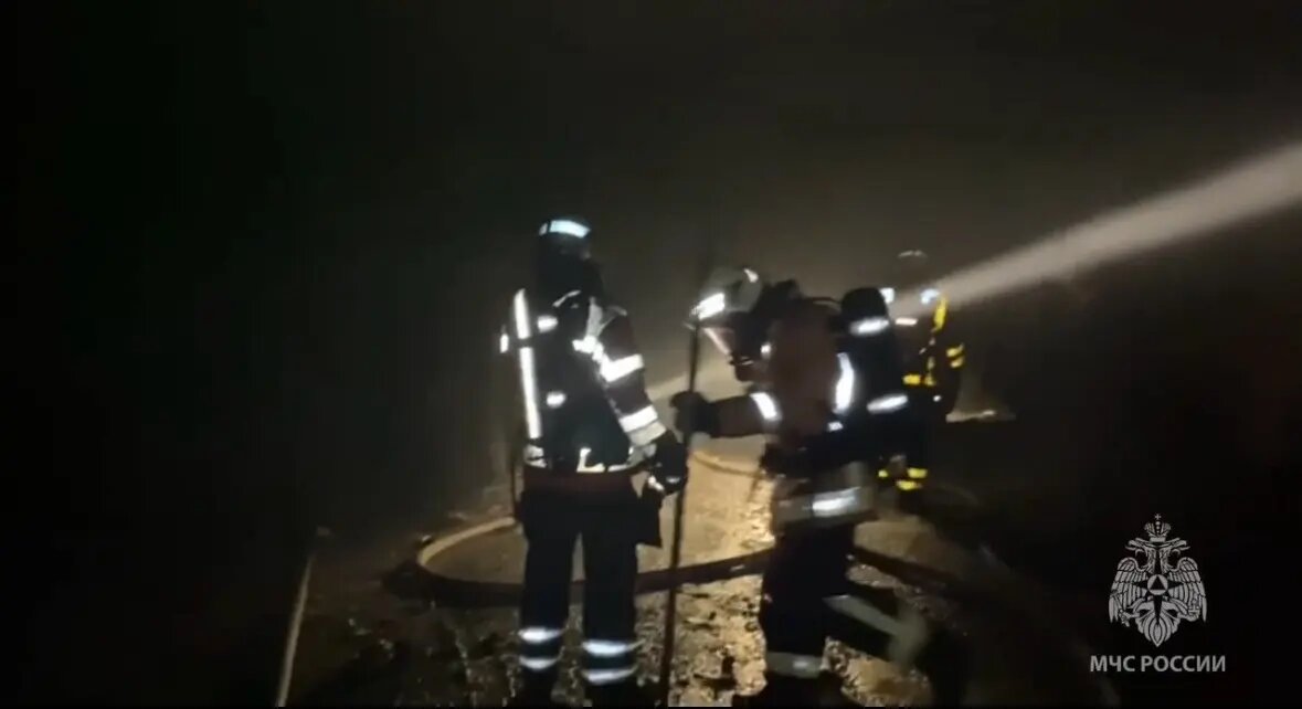    Фото: скриншот видео пресс-службы ГУ МЧС России по Ленобласти
