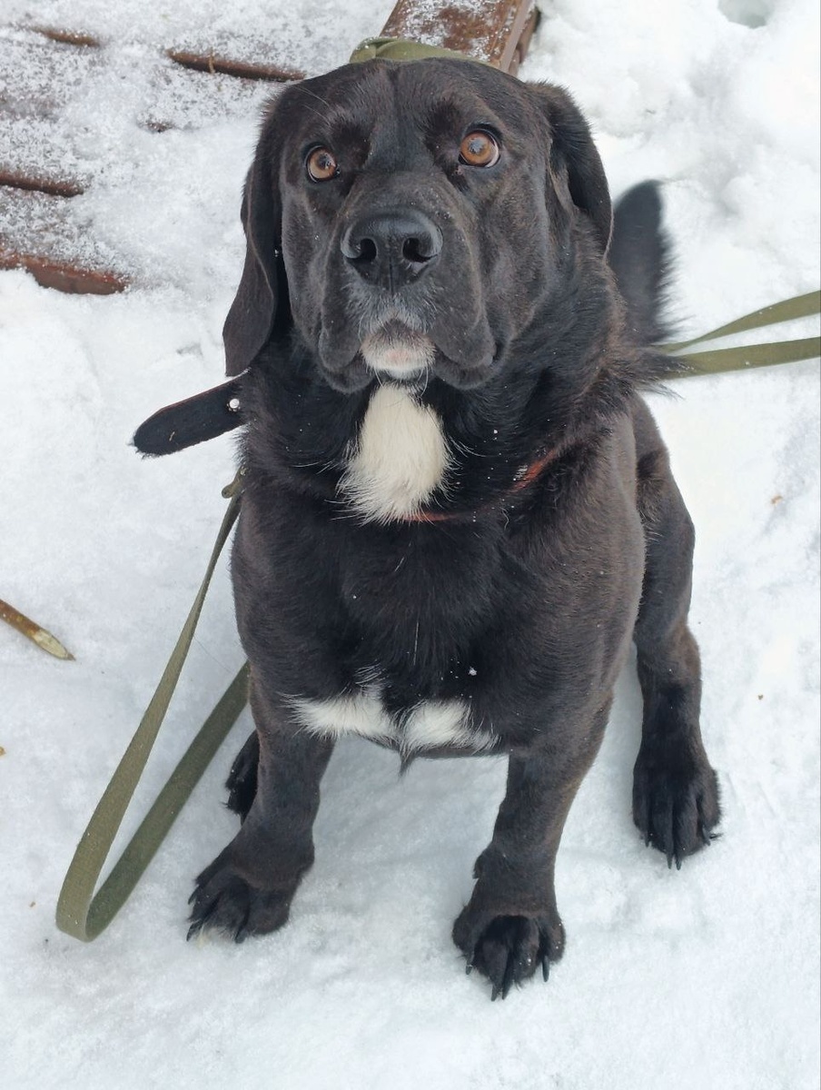 И это я , да:))