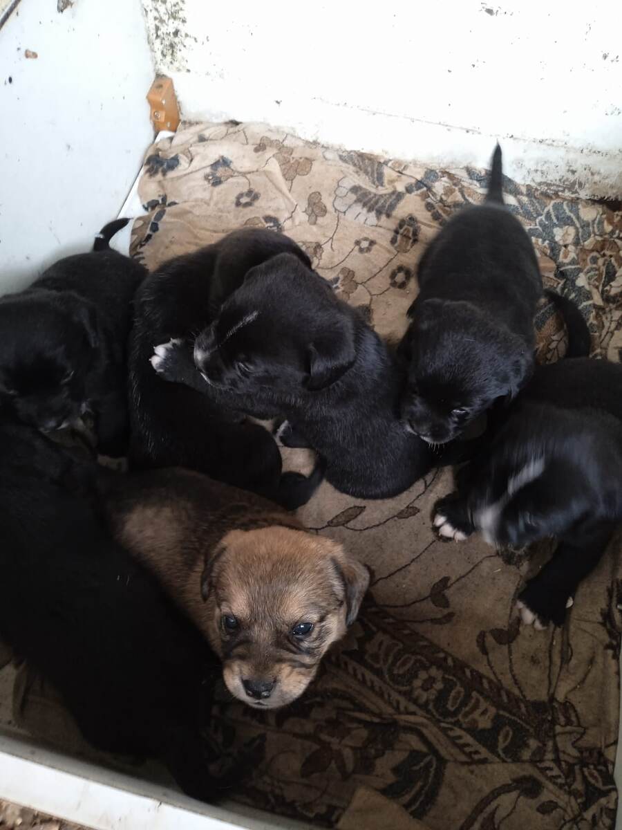 Ой какие мы тут малявочки