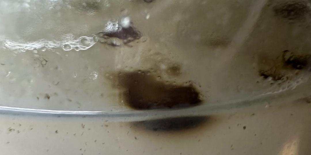 Темные пятна под протокормами и плесень