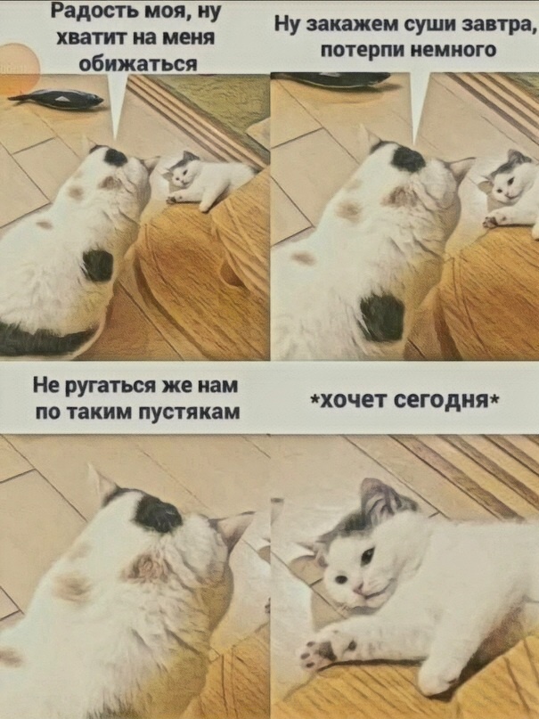 Источник фото: открытый источник в yandex