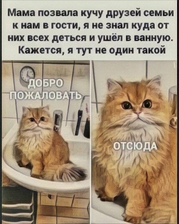 Источник фото: открытый источник в yandex