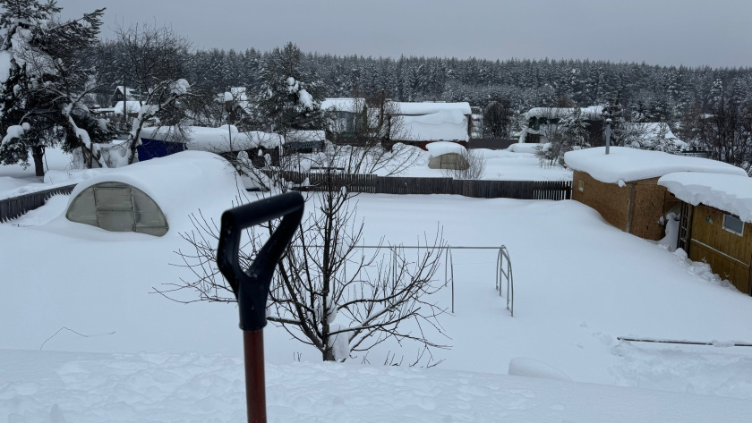    Фото progorod43.ru