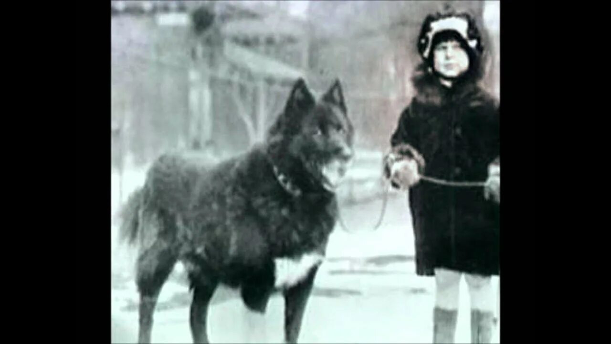 Картинка из открытых источников