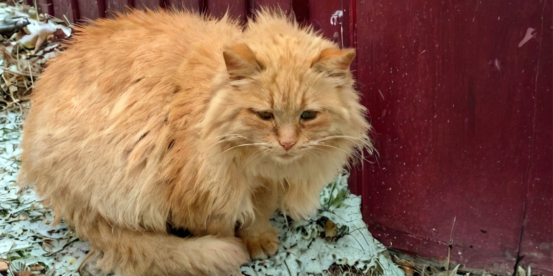 Подарок на 8 марта