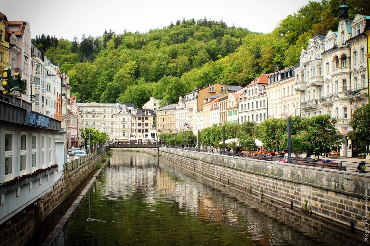 Источник: организатор