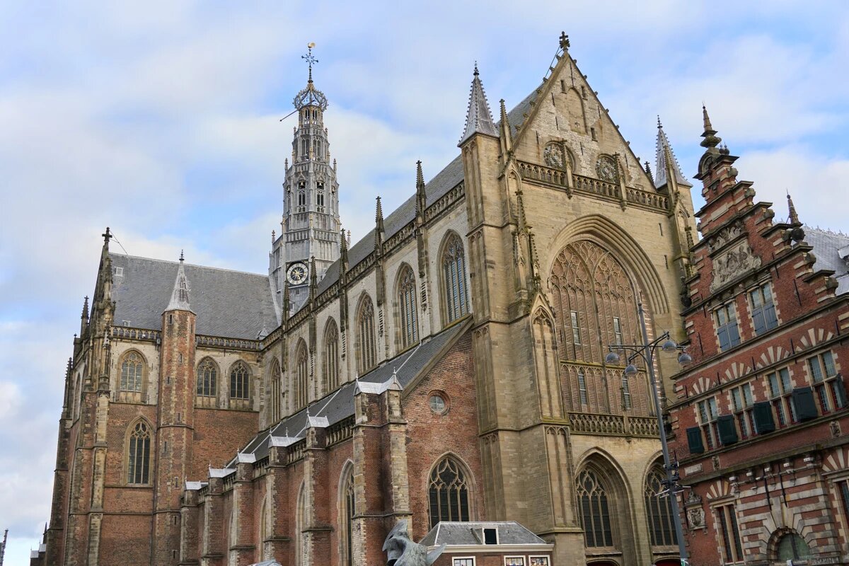 Источник: организатор