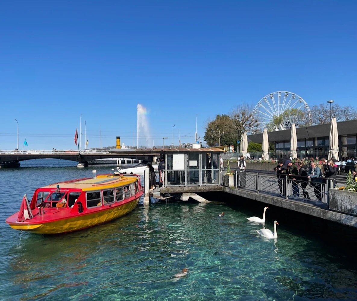 Источник: организатор