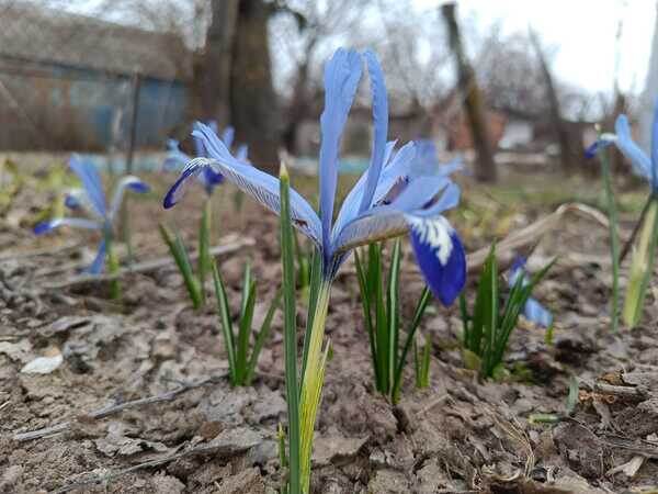    Фото Светланы Журавка Валерия Стальная