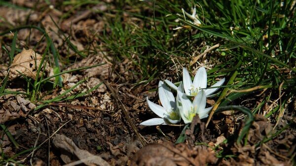    © РИА Новости Крым . Дмитрий Макеев