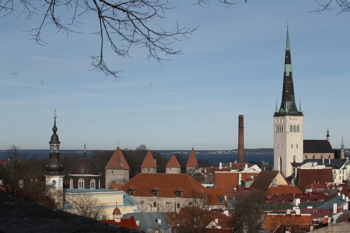 Источник: организатор