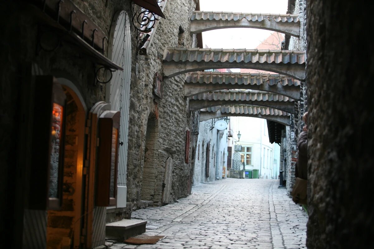 Источник: организатор