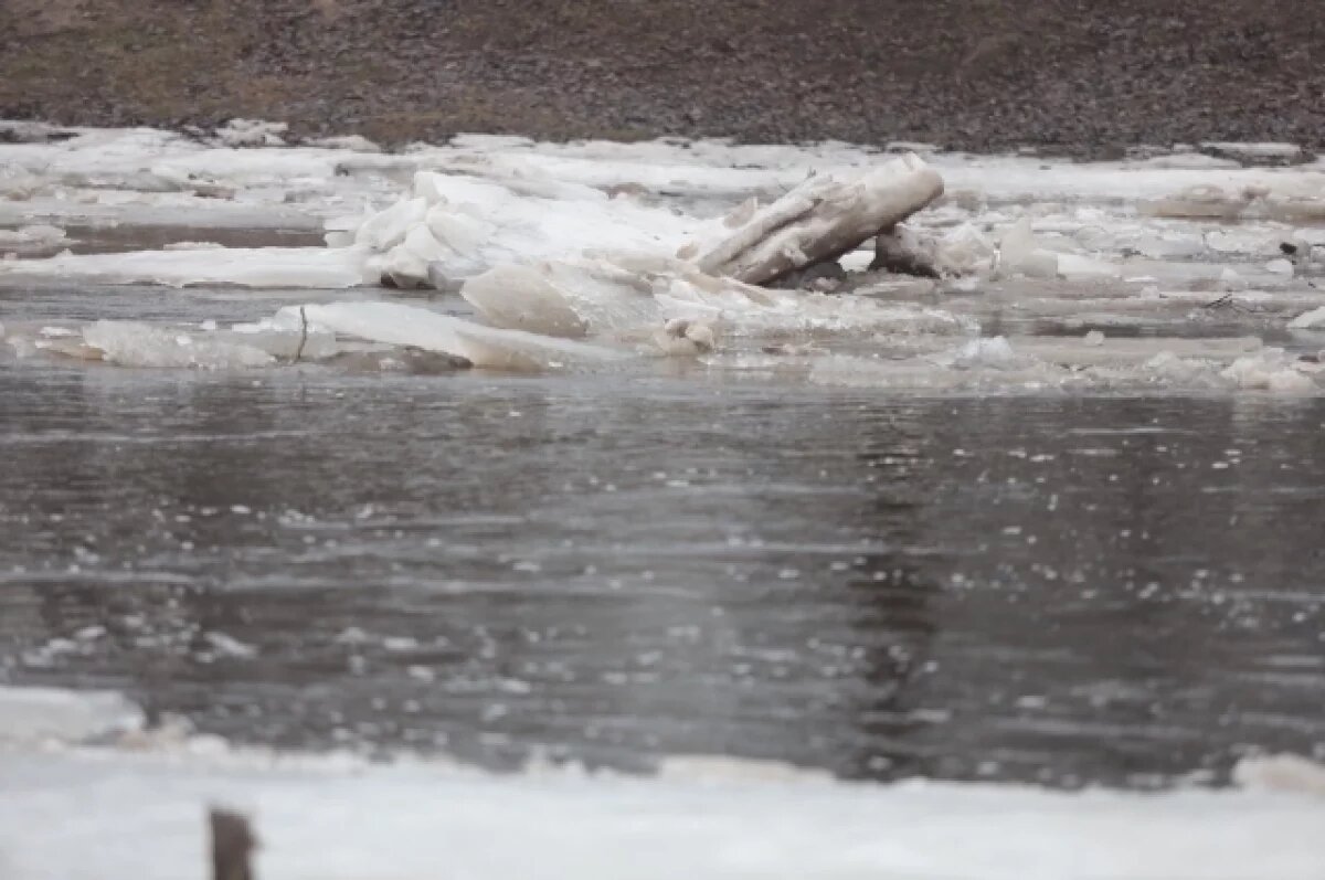    Гидролог Болгов напомнил о 15-метровом подъеме воды в Оке после снежных зим