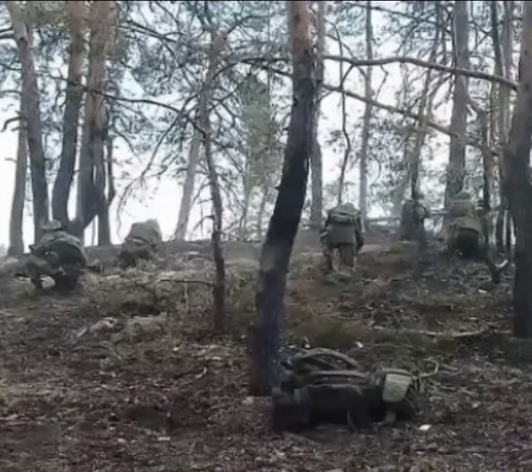 Из открытых источников 