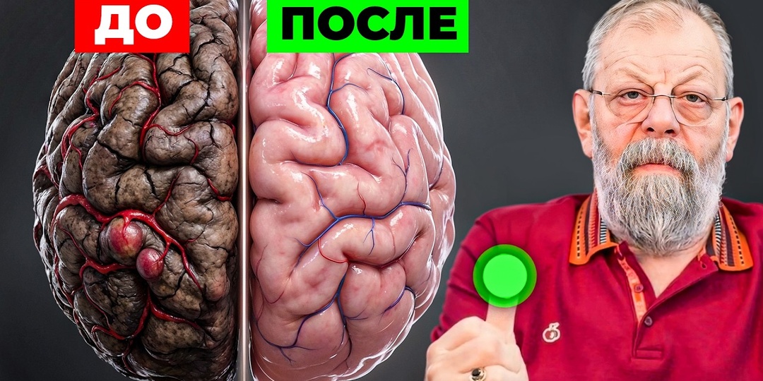 7 Признаков, Что Сосуды Мозга Начинают Сужаться После 55