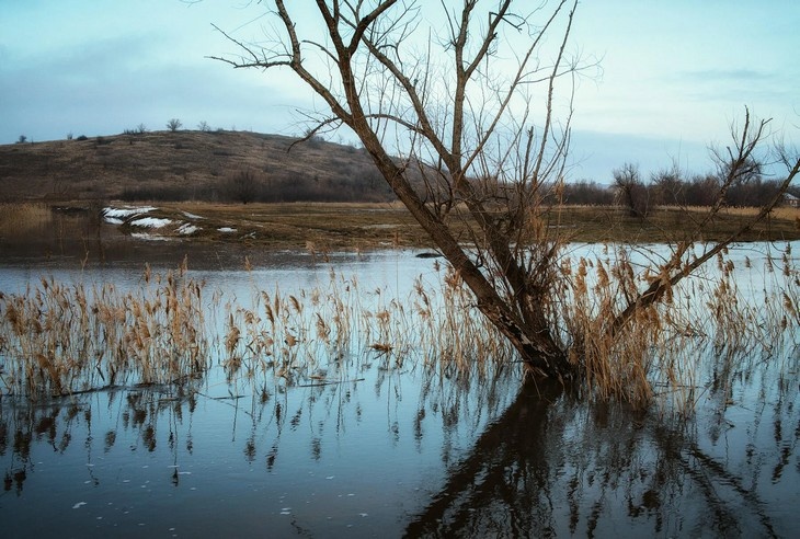    природа Редакция Газеты