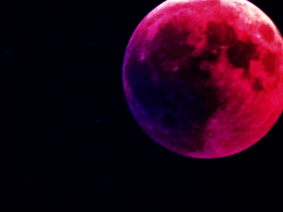 Фото: Pascal Mauerhofer с сайта unsplash.com