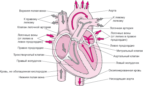 фото из открытого источника