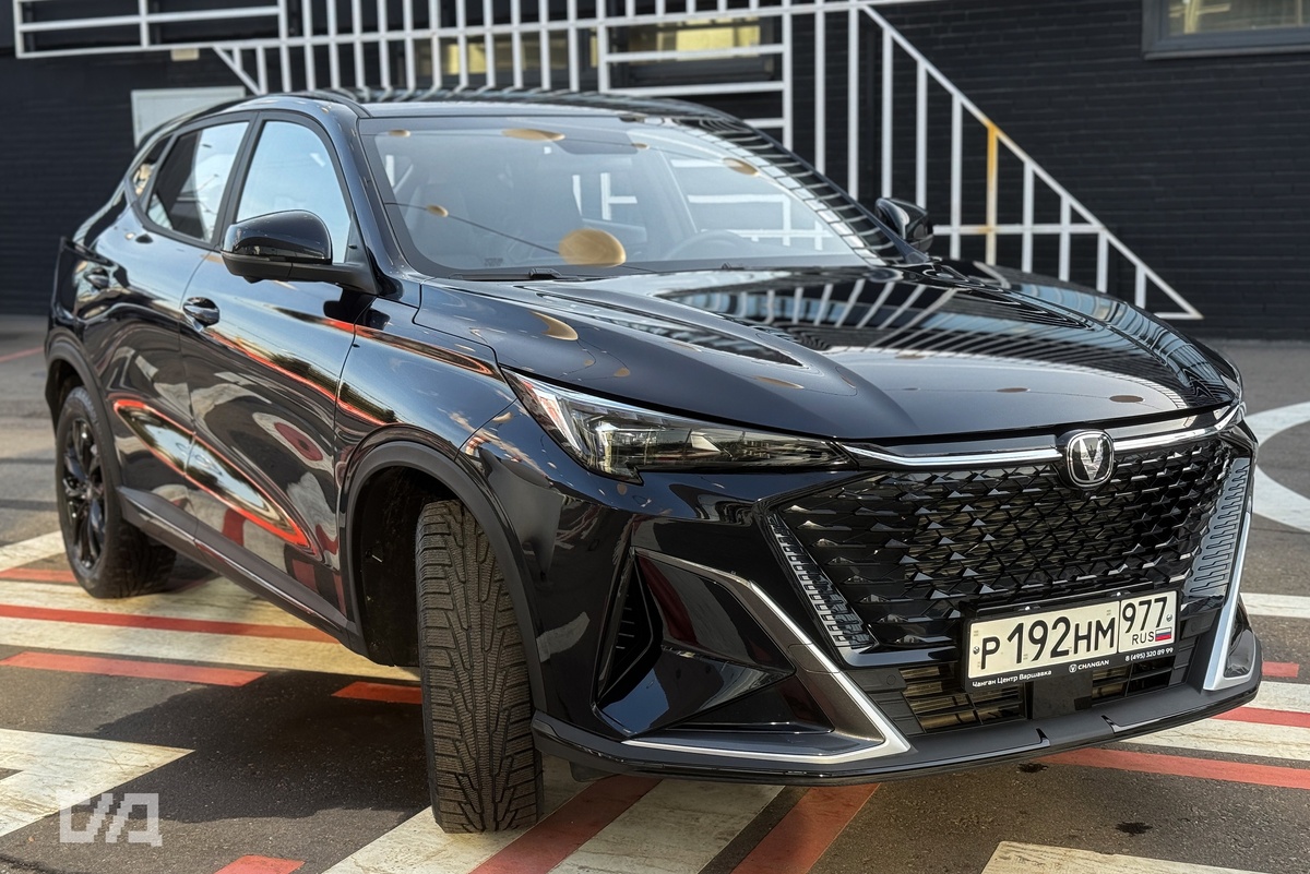 Самобытный облик с агрессивным характером.