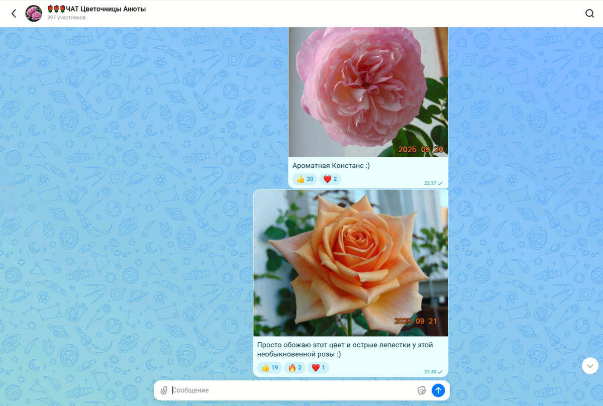 Фрагмент чата "🌹🌹🌹ЧАТ Цветочницы Анюты"