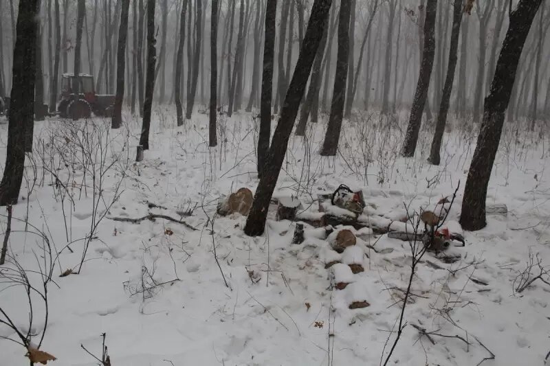    Источник фото: пресс-служба УМВД России по Приморскому краю