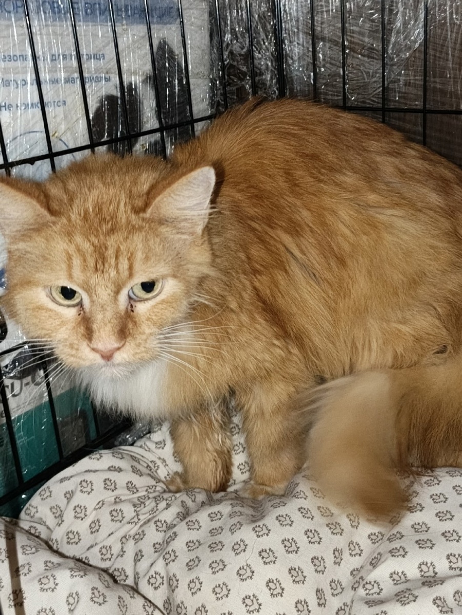 Жизнь как она есть: без пафоса, без титулов, но с огромным желанием жить.