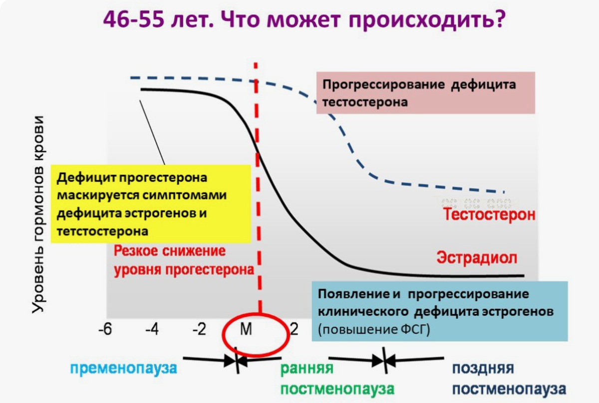 фото из открытого источника