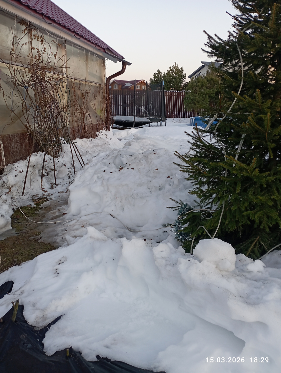 Снега во дворе очень много!