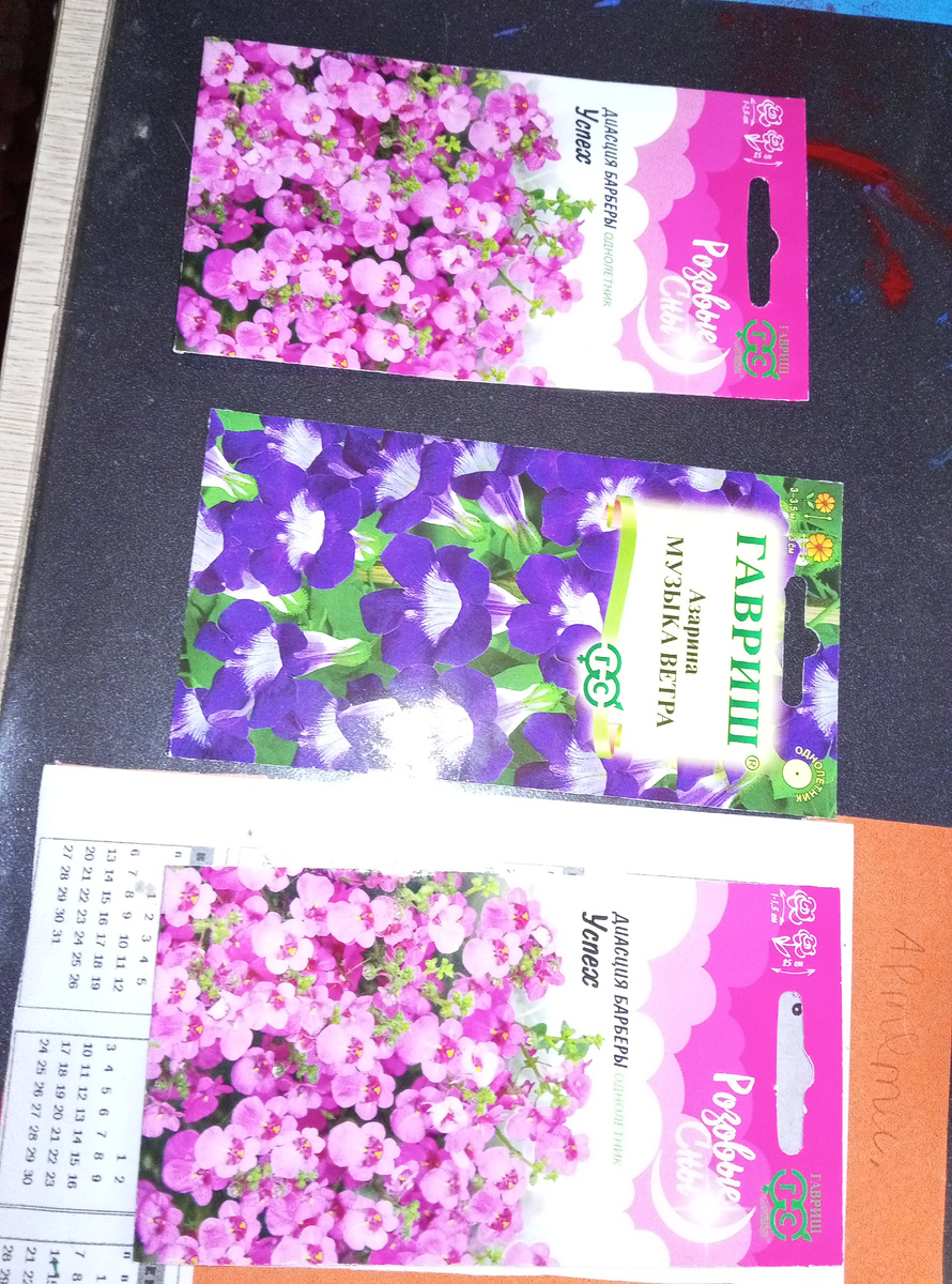 Мои диасции будущие