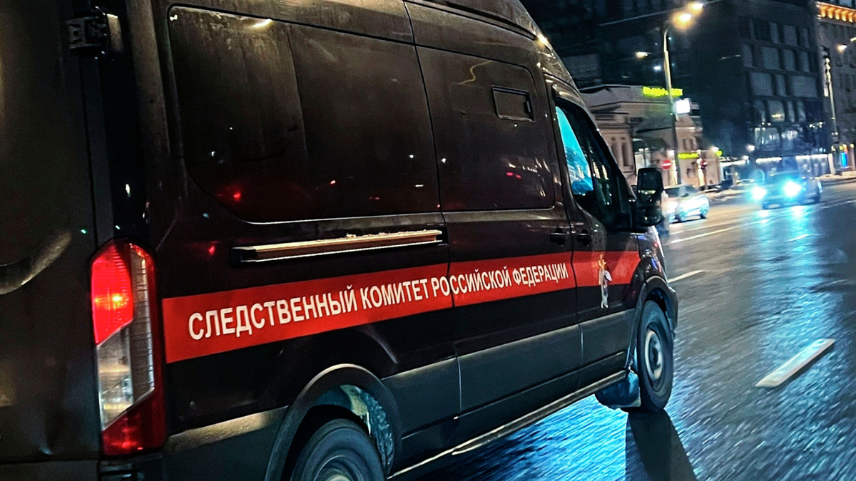    Следственный комитет риа