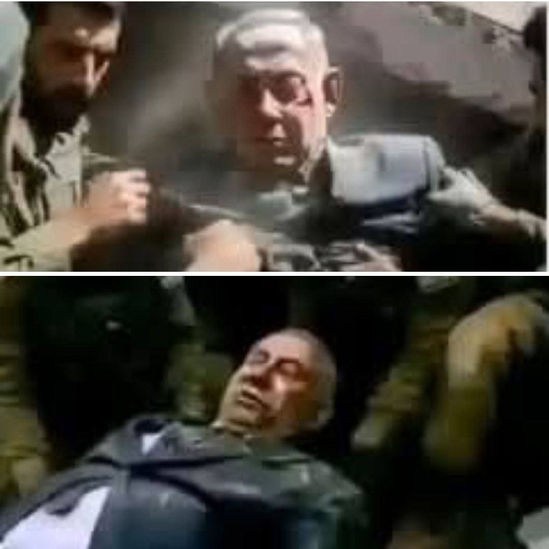 фото: яндекс.